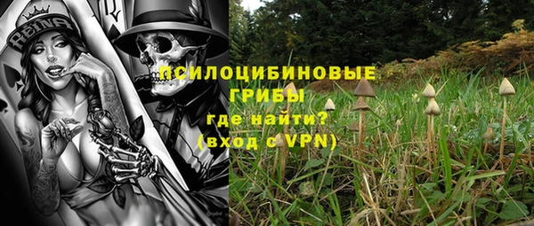 герыч Козловка