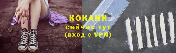прущие грибы Корсаков