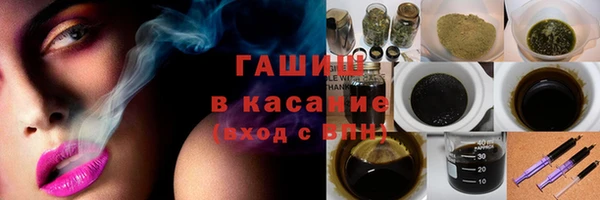 прущие грибы Корсаков