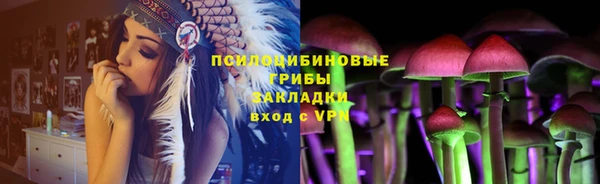 дмт Барнаул