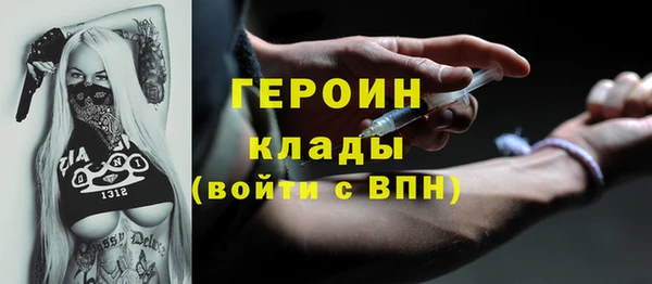 прущие грибы Корсаков