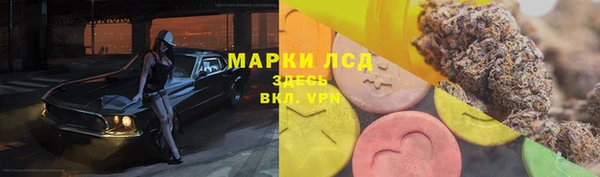прущие грибы Корсаков