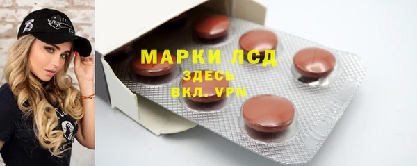 стаф Тында