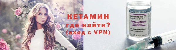 прущие грибы Корсаков