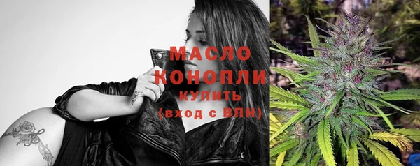 прущие грибы Корсаков