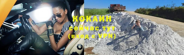 прущие грибы Корсаков