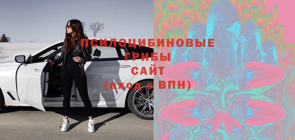 прущие грибы Корсаков