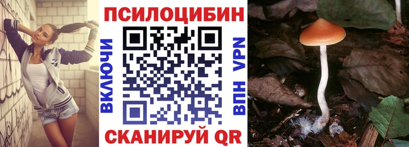 цены   Поворино  Галлюциногенные грибы Cubensis 